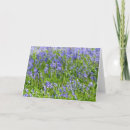 Recherche de plaines vœux cartes Bleu
