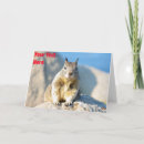 Recherche de écureuil gris vœux cartes Faune