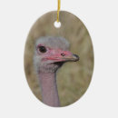Search for ornithologist ornaments Ornithology