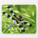 Search for damselfly mousepads Dragonflies and damselflies