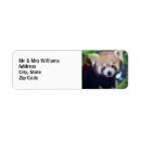 Recherche de animal photography Wildlife