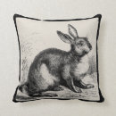 Recherche de lièvres coussins Élégant