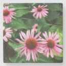 Search for herbal coasters Nature