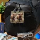 Search for highland cattle luggage tags Cow