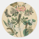 Search for vision stickers Botanical