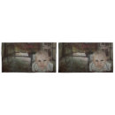 Search for ghost pillowcases Creepy