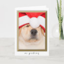 Search for no peeking christmas cards Red