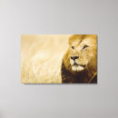 Search for lion portrait canvas prints Wildlife