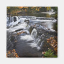 Search for rapid magnets Autumn