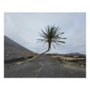 Recherche de incliné posters Paysage