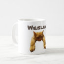 Search for laziness mugs For him