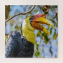 Recherche de feuille puzzles Nature