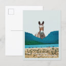 Search for mustang wild horses postcards Landscape