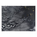 Search for cape verde art Photography