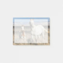 Recherche de poulain de cheval posters Broussailles