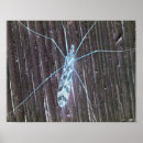 Search for illuminated posters Nature