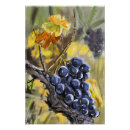 Recherche de la provence posters Vacances
