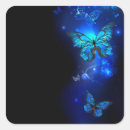 Search for morpho stickers Butterfly