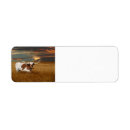 Search for longhorn return address labels Bull