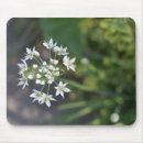 Recherche de floral tapis souris Jardin