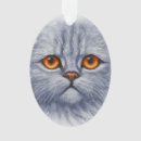 Search for grey kitten ornaments Kitty