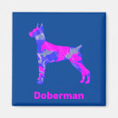 Recherche de dobermann pinscher magnete Dog