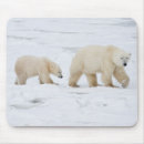 Search for polar bear mousepads Baby