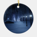 Recherche de arbres de bouleau ornements Neige