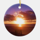 Search for shore ornaments Sand
