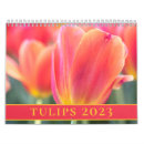 Search for gardner tulips