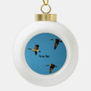 Search for geese ornaments Nature