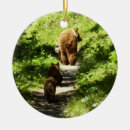 Search for brown bear ornaments Wildlife