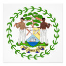 Search for belize posters Flag