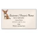 Recherche de chihuahua cartes visite Animal