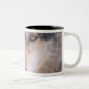 Search for eyes closed mugs Animal