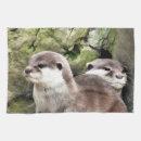 Recherche de loutres cuisine linges Animaux