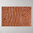 Search for crocodile posters Background