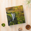 Recherche de triberg Cascades