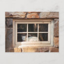 Search for stone house postcards Window