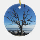 Recherche de dérive de neige maison deco Arbres