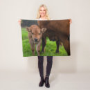 Search for calf blankets Cute