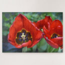 Recherche de fleurs rouges puzzles Tulipe rouge