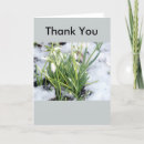Search for snowdrop flower cards Nature