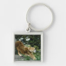 Search for lion photo keychains Feline