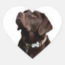 Search for black labrador stickers Puppy