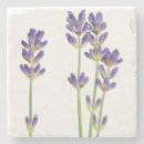 Search for isolated barware Flower
