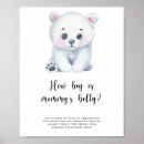 Recherche de ours arctique posters Aquarelle