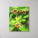 Search for fruits canvas prints Trees