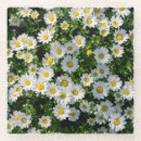 Search for landscape coasters Meadow