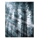 Recherche de cyan posters Paysage